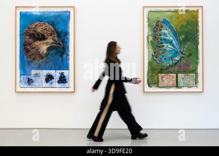 Londres, Royaume-Uni. 5 décembre 2025. Un membre du personnel passe (l) « observation : Common Swift, Apus Apus. Consomme 20 000 insectes par jour » et « observation sur la théorie migratoire des papillons Polyommatus », tous deux en 2025, lors de l’ouverture d’Oswaldo Maciá : mouvements migratoires, une nouvelle exposition de l’artiste colombien Oswaldo Maciá à la galerie Elizabeth Xi Bauer au marché d’Exmouth. Les œuvres de l’artiste explorent l’écologie, l’environnement et le monde naturel. Le spectacle se déroule jusqu'au 15 février 2026. Credit : Stephen Chung / Alamy Live News Banque D'Images