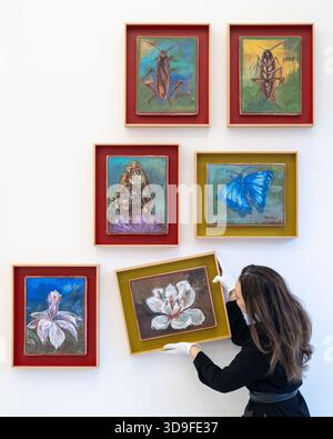 Londres, Royaume-Uni. 5 décembre 2025. Un collaborateur ajuste « Magnolia 1726 », 2025, lors de l’ouverture d’Oswaldo Maciá : Migratory Movements, une nouvelle exposition de l’artiste colombien Oswaldo Maciá à la galerie Elizabeth Xi Bauer à Exmouth Market. Les œuvres de l’artiste explorent l’écologie, l’environnement et le monde naturel. Le spectacle se déroule jusqu'au 15 février 2026. Credit : Stephen Chung / Alamy Live News Banque D'Images