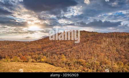 Une vue sur le Moltkewarte, une tour de guet près de Sangerhausen, en automne. Banque D'Images