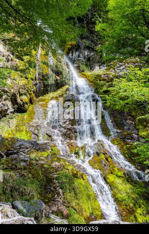 Des cascades d'eau sur des roches couvertes de mousse dans les montagnes du sud de la Patagonie. Santa Cruz, Argentine. Banque D'Images
