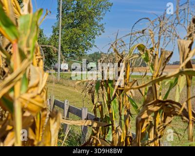 Déchargement de la moissonneuse-batteuse vue à travers des tiges de maïs fanées à carter Historic Farm, une propriété de conservation de la nature à Bowling Green Ohio Banque D'Images