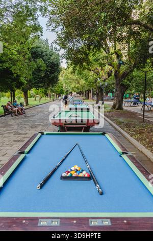 Batumi, Géorgie - 21 août 2025 : vue sur les tables de billard animées bordées d'un chemin de pierre, encadrées par des arbres luxuriants et des bancs dans un parc paisible Banque D'Images