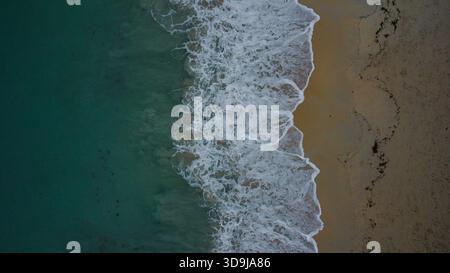 Contraste parfait : composition verticale de Sandy Shoreline et Clear Ocean surface Banque D'Images