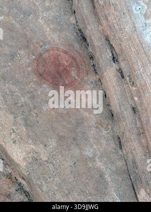 Les marbres de Moqui et les anneaux d'oxyde de fer comme ces motifs en spirale circulaires sont une découverte rare et intéressante, située sur un pic du parc d'État de Snow Canyon Banque D'Images