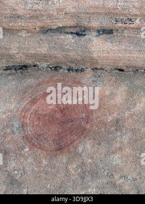 Les marbres de Moqui et les anneaux d'oxyde de fer comme ces motifs en spirale circulaires sont une découverte rare et intéressante, située sur un pic du parc d'État de Snow Canyon Banque D'Images