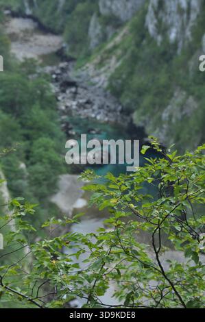 Une rivière paisible coule à travers un magnifique canyon rempli de verdure vibrante. La lumière tôt le matin illumine le paysage, mettant en valeur son natura Banque D'Images