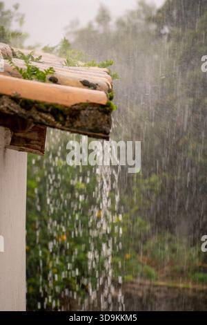 Pluie abondante se déversant d'un vieux toit rustique en terre cuite avec de la mousse verte et des mauvaises herbes pendant une tempête, l'eau s'égouttant rapidement avec une GA verte floue Banque D'Images
