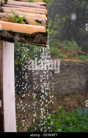 Pluie abondante se déversant d'un vieux toit rustique en terre cuite avec de la mousse verte et des mauvaises herbes pendant une tempête, l'eau s'égouttant rapidement avec une GA verte floue Banque D'Images