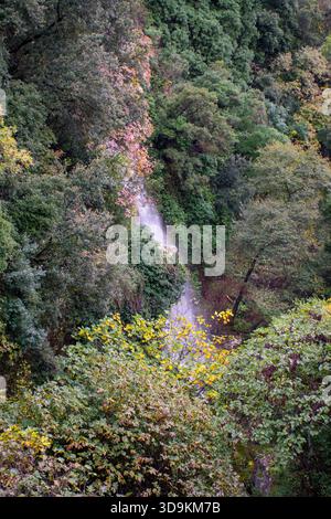 Plan vertical de la cascade pittoresque dans le village de Pagi, Corfou, descendant en cascade une falaise rocheuse entourée d'une forêt verte dense et d'arbres d'automne colorés Banque D'Images