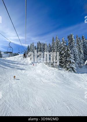 Belle scène hivernale sur la montagne Jahorina avec un skieur sur une pente entretenue et des pins denses drapés dans la neige profonde sous un ciel bleu clair. Banque D'Images