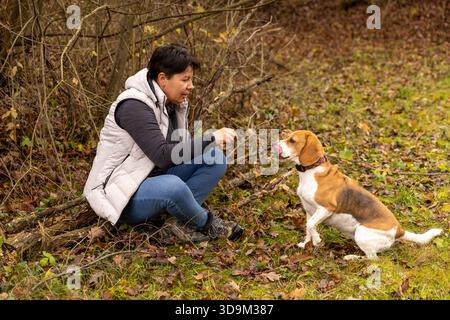 Liaison femme et chien lors d'une séance d'entraînement avec friandises dans un parc d'automne Banque D'Images