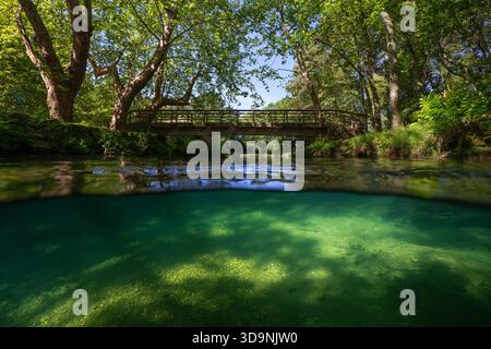 Pont en bois sur une rivière avec des arbres, vue sur et sous la surface de l'eau, scène naturelle, Espagne, Galice, province de Pontevedra Banque D'Images