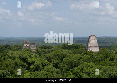 Anciennes pyramides du temple maya Tikal s'élevant de la canopée de la jungle Guatemala Banque D'Images