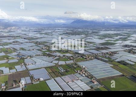 Vue aérienne d'un éventail infini de serres couvre le paysage, contrastant avec les montagnes lointaines et enneigées sous un ciel doux et diffus, Banque D'Images