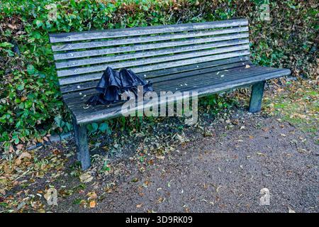 Un banc en bois mouillé se dresse à côté d'une haie verte luxuriante après la pluie, avec un sol humide en dessous et un parapluie pliant noir oublié reposant sur la mer Banque D'Images