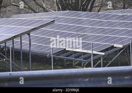 Plusieurs rangées de panneaux solaires sont installées derrière une clôture en treillis métallique. Les panneaux s'alignent soigneusement, faisant face de la même manière, tandis que les arbres forment un dorsal naturel Banque D'Images