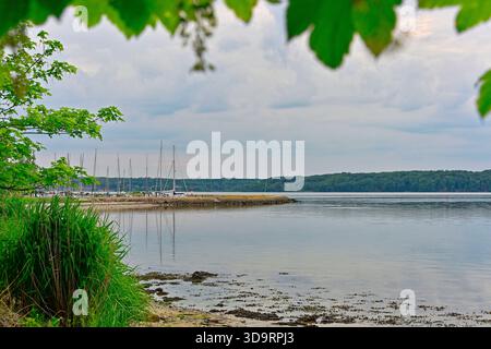 Les voiliers reposent dans une eau douce abritée par une mince broche côtière tandis que la rive ouverte est lumineuse et propre à solitude Flensburg. Une terre marine claire Banque D'Images