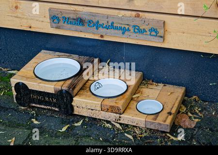 Une station d'angle de rue offre de l'eau aux chiens avec trois bols dans une rangée petit puis élevé puis grand, un panneau indique Dog Bar, la configuration semble amicale ne Banque D'Images