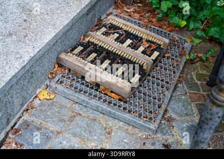 Une marche en béton extérieure tient une grille métallique pour essuyer les chaussures, un tapis de brosse en bois repose sur le dessus, les carreaux montrent l'usure et la saleté, l'entrée semble simple et Banque D'Images