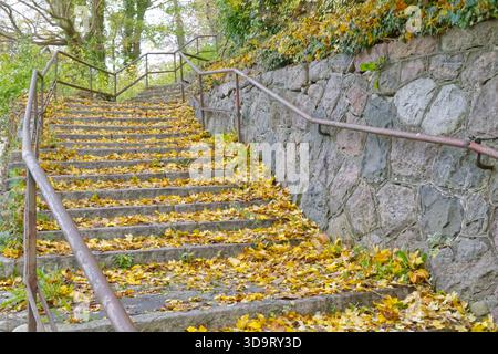 Un ensemble d'escaliers en pierre entouré de verdure, recouvert de feuilles d'automne tombées. Les mains courantes sont visibles, et la scène capture l'essence d'un tr Banque D'Images