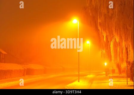 Une scène de rue enneigée éclairée par des lampadaires orange dans des conditions brumeuses. La route est couverte de neige, et les arbres sont drapés de gel, créant un Banque D'Images