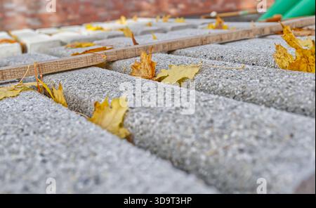 Une vue rapprochée de blocs de béton avec des feuilles d'automne dispersées sur le dessus. Les blocs sont disposés selon un motif de grille, présentant leur surface texturée. Banque D'Images