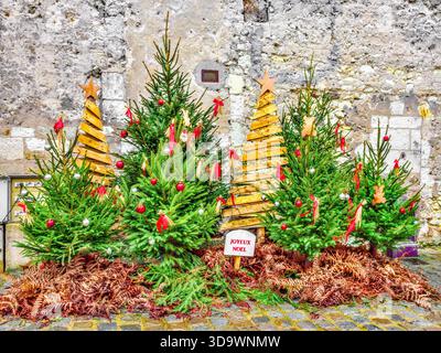 Arbres de Noël réels et artificiels dans le centre-ville - Loches, Indre-et-Loire (37), France. Banque D'Images