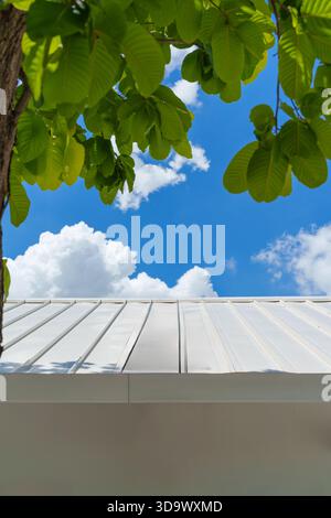 Toit en métal blanc propre extérieur minimal encadré par des feuilles vertes fraîches contre un ciel bleu clair par jour ensoleillé Banque D'Images