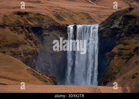 Cascade de Skogafoss dans le sud de l'Islande au crépuscule du matin en novembre, cascade puissante sur les falaises de basalte près de Skogar sur la côte sud. Banque D'Images