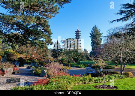 Le jardin japonais avec la Grande Pagode sur la ligne d'horizon dans les jardins botaniques royaux Kew un jour d'hiver ensoleillé Kew Richmond Angleterre Royaume-Uni Banque D'Images