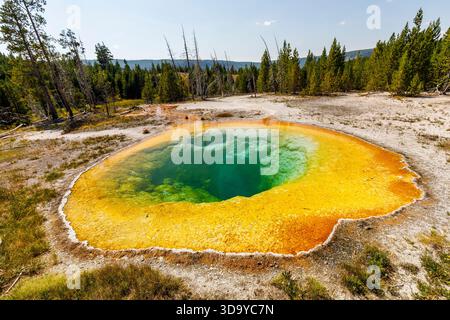 Morning Glory Pool, le Parc National de Yellowstone, Wyoming, USA Banque D'Images