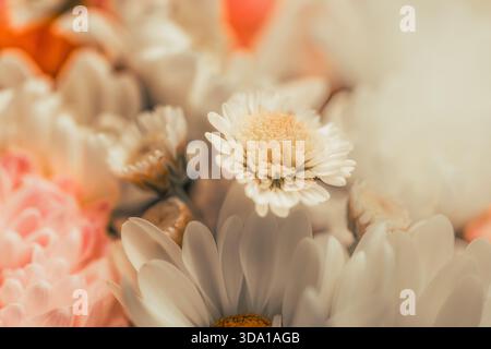 Gros plan d'un bouquet de belles fleurs avec une faible profondeur de champ. imitation de vieux films Banque D'Images