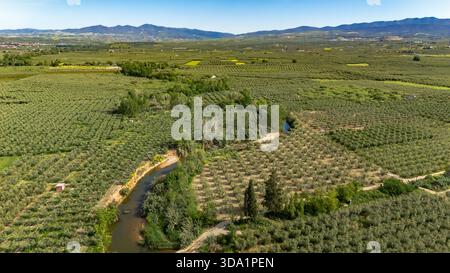 Vue aérienne par drone de la rivière Vatonia qui coule à travers les vergers d'oliviers près de Kalyves, en Chalcidique, Grèce, au printemps. Paysage méditerranéen pittoresque avec Banque D'Images