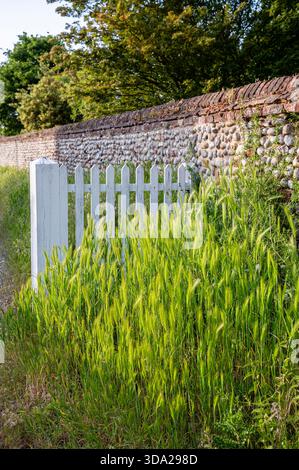 Norfolk construction locale murs en silex en été Banque D'Images