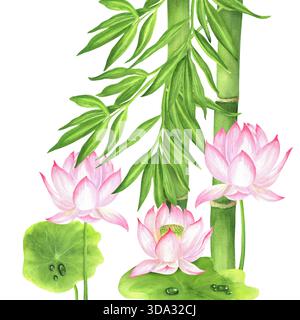 Tiges de bambou vert avec des feuilles isolées et roses fleurs de lotus et feuilles vertes. Clipart de jardin chinois. Illustration d'aquarelle dessinée à la main pour asiatique- Banque D'Images