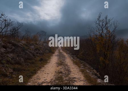 Un chemin de terre accidenté serpente entre les rives rocheuses et les arbres d'automne, disparaissant dans une vallée brumeuse sous un ciel orageux. Des terres calmes, de mauvaise humeur et atmosphériques Banque D'Images