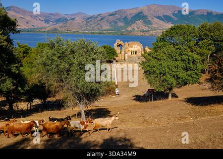 Grèce, Macédoine, l'île d'Agios Achillios sur le petit lac de Prespa, la basilique d'Agios Achillios du XIe siècle Banque D'Images