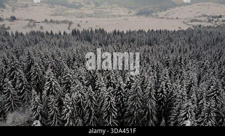 Vue aérienne d'une forêt d'hiver dense couverte de neige fraîche. Banque D'Images