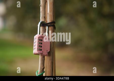 Serrure de jardin avec charme altéré, cadenas rose rustique sécurisant le piquet en bois vieilli à l'extérieur Banque D'Images