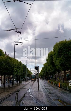 Un tramway descend une rue baignée de pluie à Dublin, encadrée par des arbres et des lignes électriques aériennes. Dublin, Irlande, 2025-08-08 Banque D'Images
