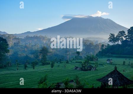 Rizières verdoyantes en terrasses dans la vallée sideman avec le volcan sacré du Mont Agung dominant en arrière-plan dans l'est de Bali, en Indonésie Banque D'Images