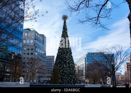 Grand arbre de Noël décoré au Park at CityCenterDC dans le centre-ville de Washington DC Banque D'Images