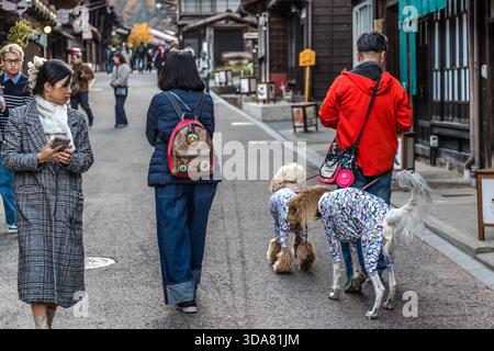 Le chien comme accessoire de mode : ici sur le Nakasendo dans la préfecture de Nagano. La mode canine est une autre variation de la culture de la jeunesse japonaise, avec des figurines de chien gachapon et une esthétique en peluche. Shiojiri, Préfecture de Nagano, Japon Banque D'Images