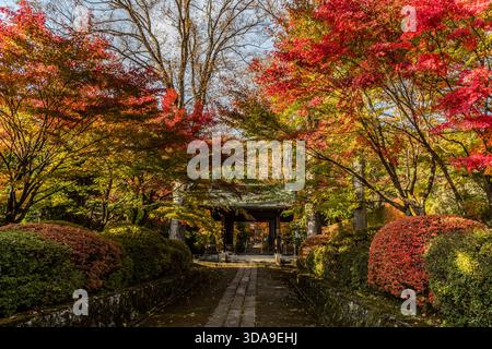 Une porte de temple bouddhiste (Sanmon) à la fin d'un chemin pavé de pierre bordée d'érables enflammés de rouges et d'or automnaux ; l'approche du temple bien entretenue, avec ses arbustes taillés et sa pierre naturelle, est située dans le district de Kiso, Kiso, préfecture de Nagano, Japon Banque D'Images