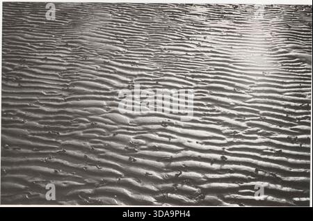 Marée basse sur Marina di Ravenna plage 1959 Banque D'Images
