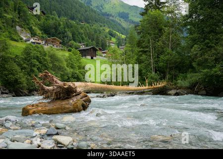 Tronc d'arbre situé sur la rivière Isel à Pragraten Autriche atmosphère nuageuse d'été montrant l'environnement alpin naturel et la vue panoramique Banque D'Images
