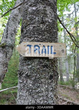 Panneau indicateur de sentier en bois affiché sur l'arbre dans le parc naturel de la zone de randonnée verticale photo Banque D'Images