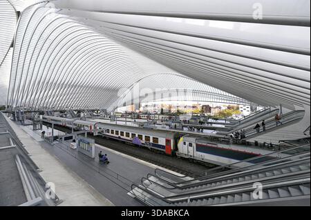 La gare de Liège-Guillemins, conçue par l'architecte espagnol Santiago Calatrava, Liège, Belgique Banque D'Images