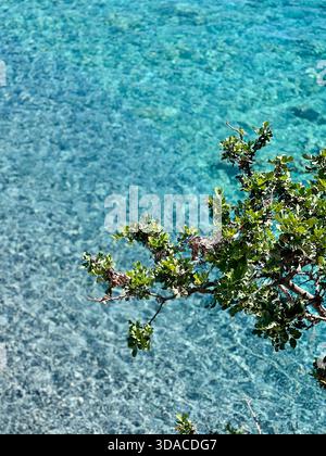 Branche côtière au-dessus de l'eau cristalline crétoise, mer turquoise limpide, ondulé peu profond et calme l'ambiance estivale le long de la côte rocheuse Banque D'Images