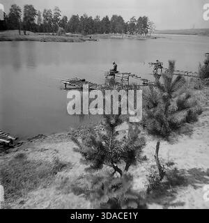 Une photographie pittoresque historique en noir et blanc des années 1960 capturant une scène de pêche sur le réservoir Red-Oskol (Krasnooskolskoye) près de Yatskoye, région de Donetsk, Ukraine. Encadrés par de jeunes pins au premier plan, les pêcheurs locaux s'assoient sur des piliers en bois rustiques s'étendant dans l'eau calme. Le fond présente une forêt dense sur la rive opposée, reflétant la nature paisible et les traditions de loisirs en plein air du Donbass à l'époque soviétique. Banque D'Images